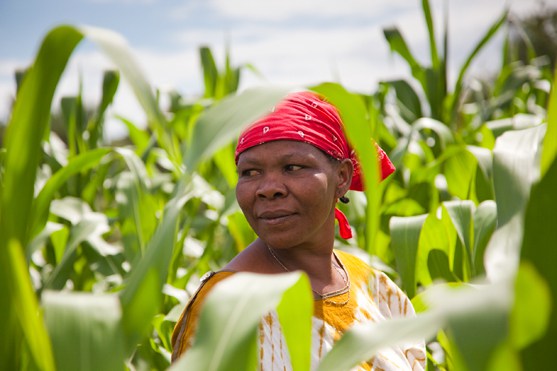 Nigeria Needs to Close the Financial Inclusion Gap for Women Smallholder Farmers